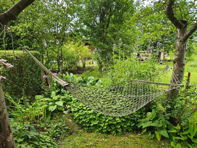 Ogród działkowy ROD ZORZA w Ziemnicach k/ Legnicy