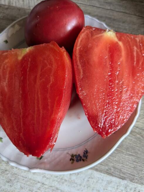 Currant Gold Russian Nasiona pomidor rosyjski pokarm nasiona