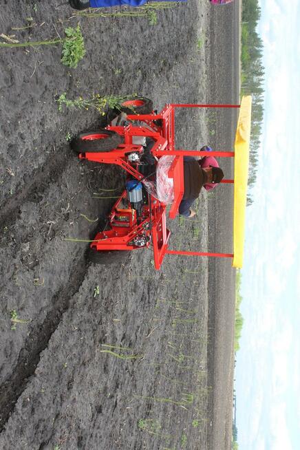 Maszyna do zbioru szparagów i truskawek
