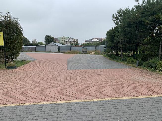 wynajm lokalu na dzialalnosc