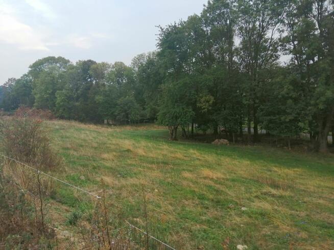 Działka inwestycyjna Dłużec gm. Lwówek Śląski,