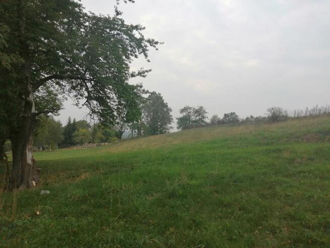 Działka inwestycyjna Dłużec gm. Lwówek Śląski,