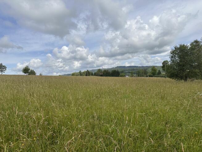 Działka budowlana Ciechanowice gm. Marciszów,