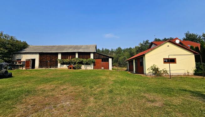 Dom na przepięknej dużej działce z własnym lasem!!