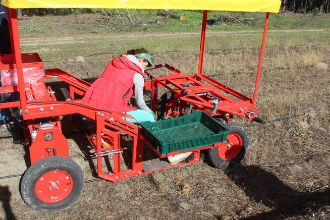 Maszyna do zbioru szparagów i truskawek