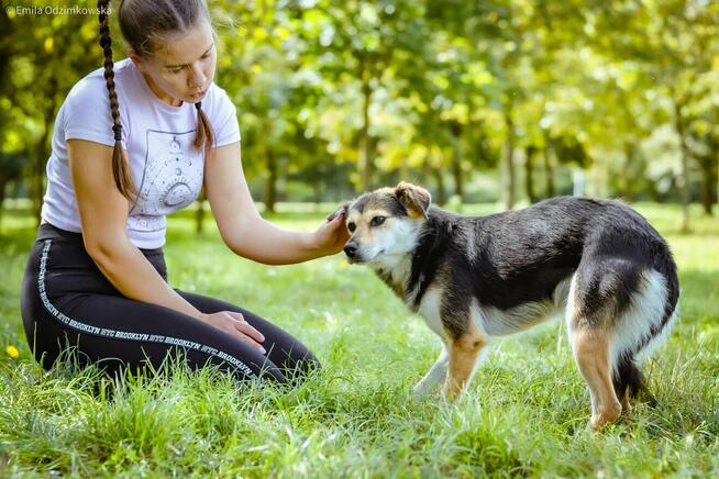 Gabrysia-delikatna i nieśmiała suczka czeka na dom