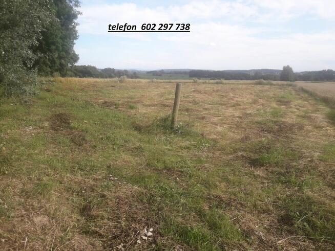 Mam do wynajęcia działkę pod plac dla firmy