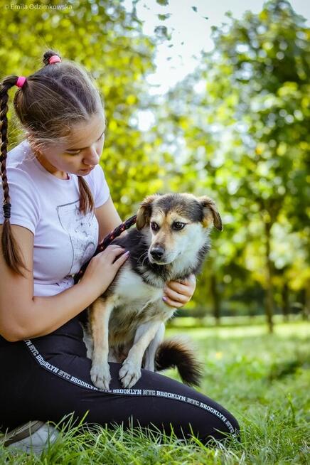 Gabrysia-delikatna i nieśmiała suczka czeka na dom