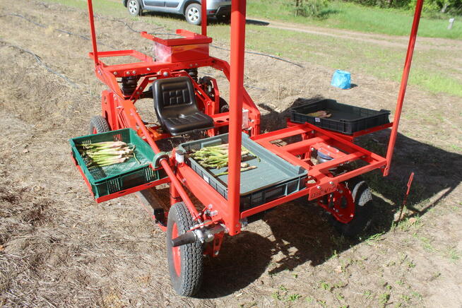 Maszyna do zbioru szparagów i truskawek