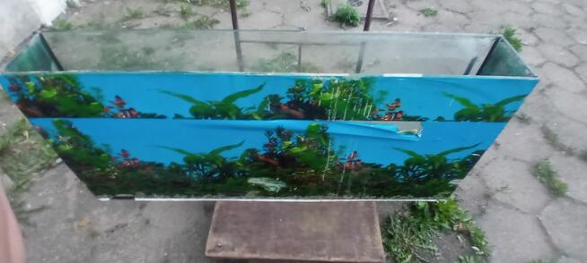 Sprzedam duże panoramiczne akwarium.