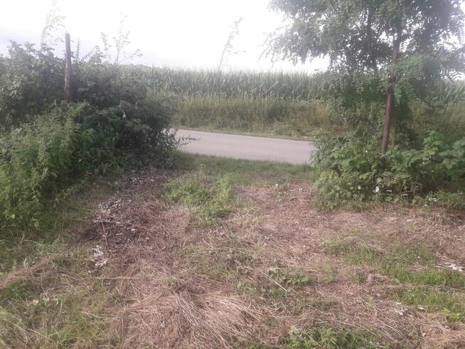 Mam do wynajęcia działkę pod plac dla firmy