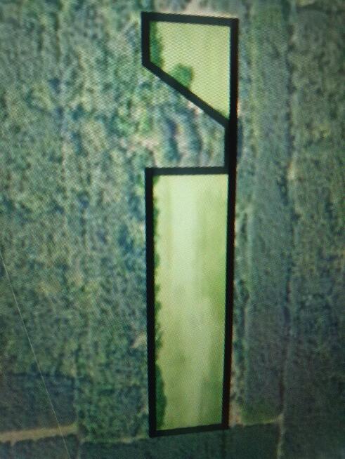 Sprzedam działkę rolną w Smykowie 2,13 ha gm. Fałków