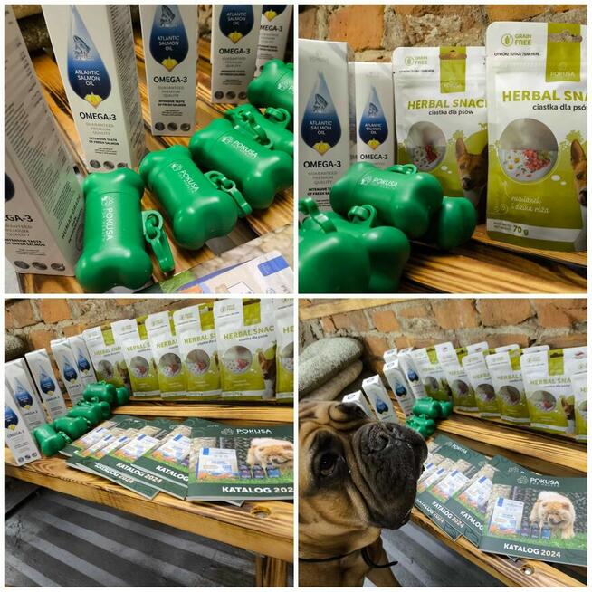 Szkolenia dla groomerów