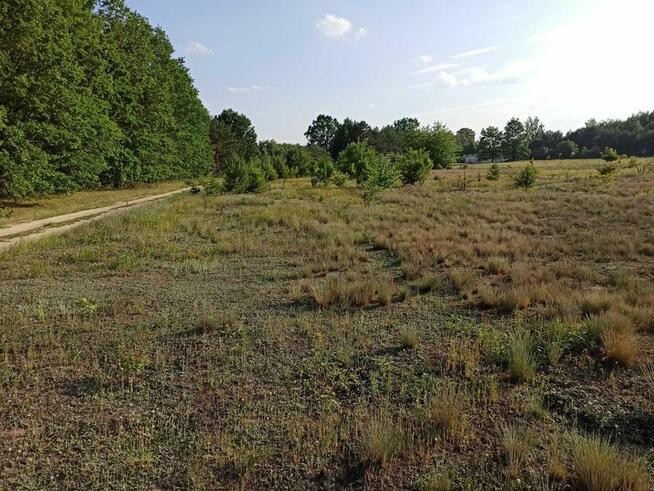 Sprzedam dużą działkę