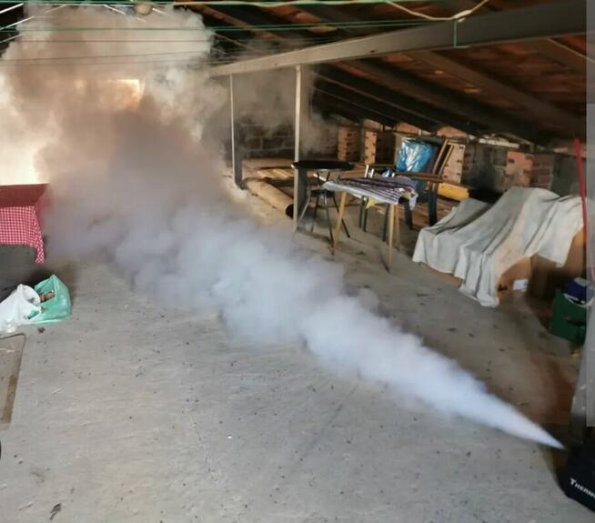 Odgrzybianie Ozonowanie