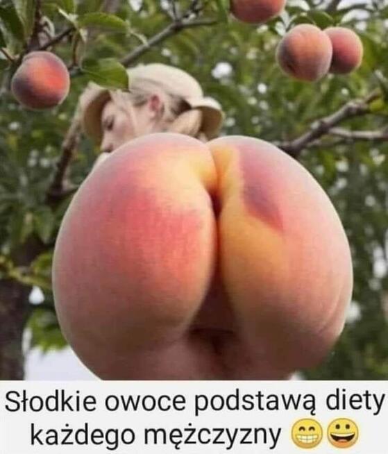 Para szuka