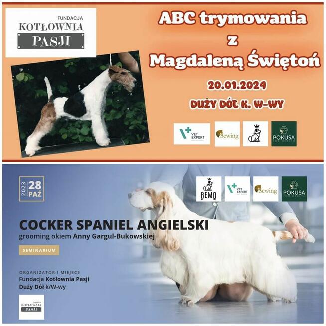 Szkolenia dla groomerów