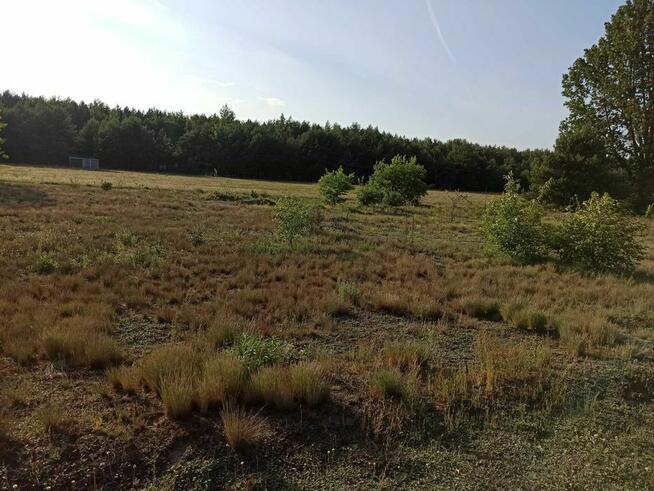 Sprzedam dużą działkę