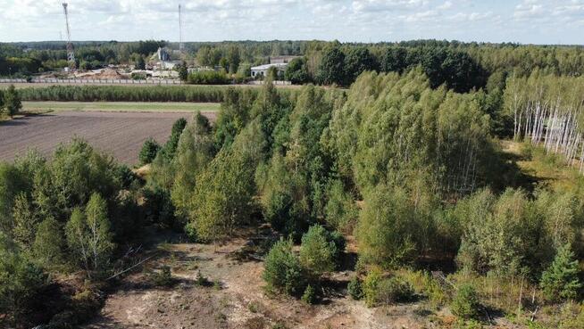 Działka w sercu lasu z warunkami zabudowy Skórzec