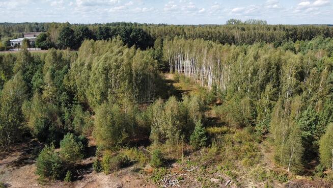 Działka w sercu lasu z warunkami zabudowy Skórzec