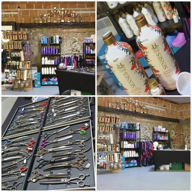 Szkolenia dla groomerów, COCKER SPANIEL i SZKOLENIE GŁÓWKOWE