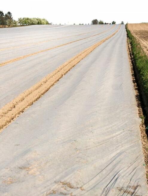 Agrowłóknina okrywowa 19,23,30gram (POLSKA)