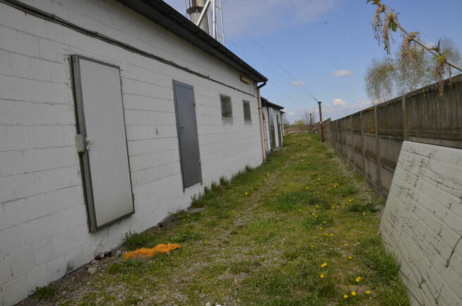 Syndyk sprzeda zakład przetwórstwa mięsnego