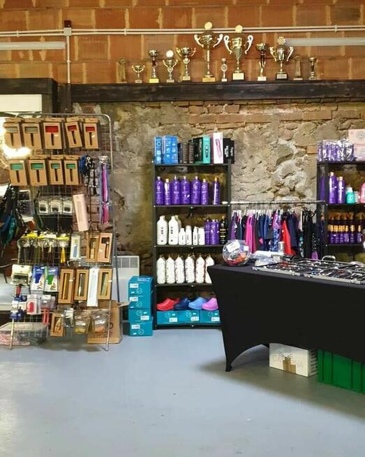 Szkolenia dla groomerów, COCKER SPANIEL i SZKOLENIE GŁÓWKOWE