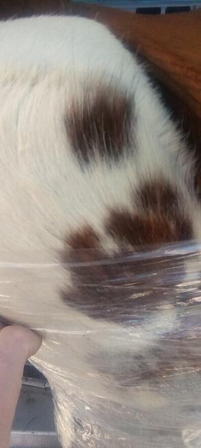 Podnóżki drewniane obite skórą