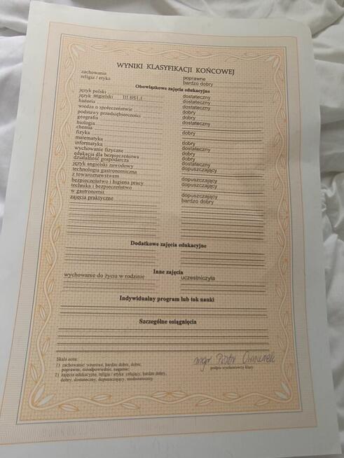 Szukam pracy jako kucharz wielu