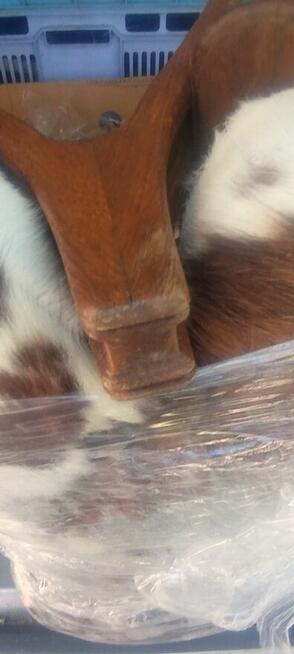 Podnóżki drewniane obite skórą