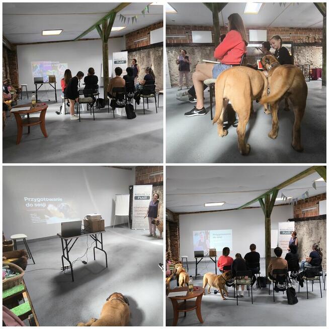 Szkolenia dla groomerów