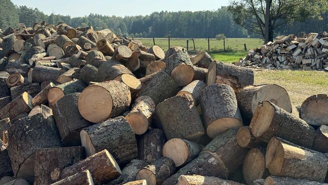 Ładny świerk na OPAŁ na sprzedaż TANIO