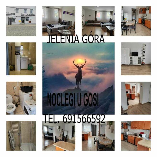 Do wynajęcia krótko terminowo Kawalerka