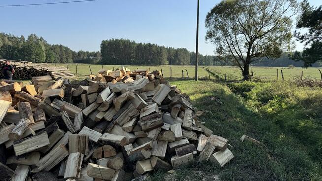 Ładny świerk na OPAŁ na sprzedaż TANIO