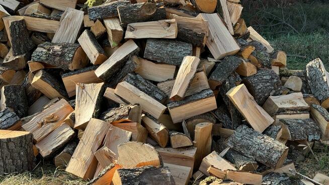 Ładny świerk na OPAŁ na sprzedaż TANIO