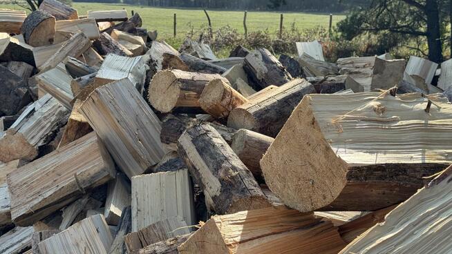 Ładny świerk na OPAŁ na sprzedaż TANIO