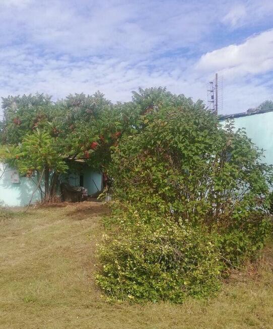 Sprzedałam działkę