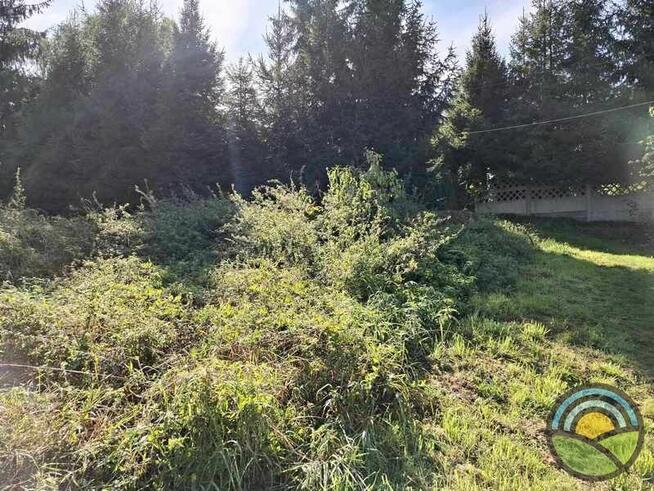 Nielepice gm. Zabierzów - działka budowlana 16 ar k/lasu !