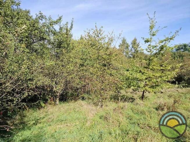 Nielepice gm. Zabierzów - działka budowlana 16 ar k/lasu !