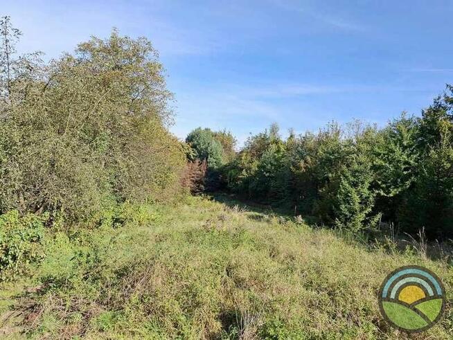 Nielepice gm. Zabierzów - działka budowlana 16 ar k/lasu !