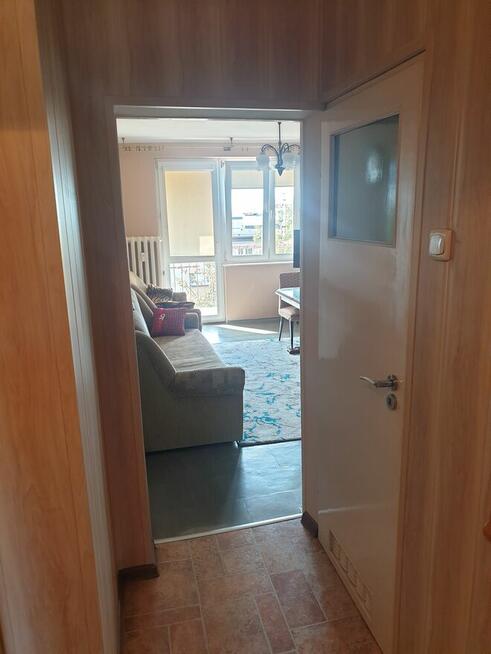 Wynajme komfortowe mieszkanie w centrum Jaworzna