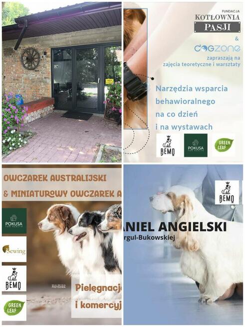 SZKOLENIA DLA HODOWCÓW PSÓW RASOWYCH