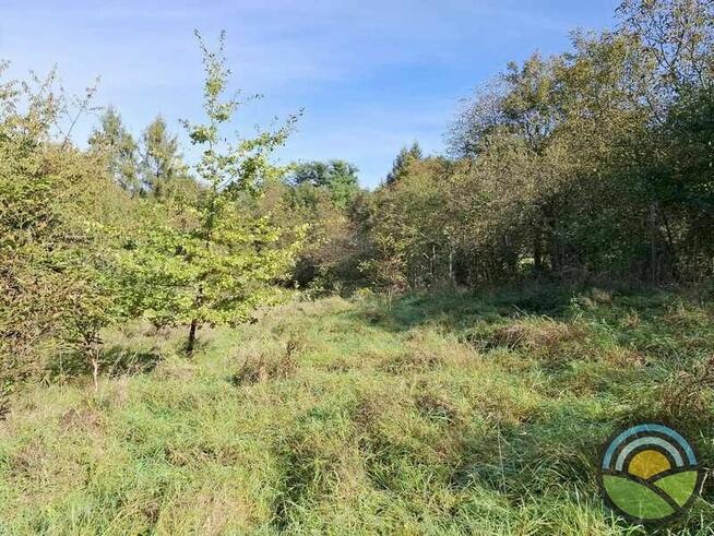 Nielepice gm. Zabierzów - działka budowlana 16 ar k/lasu !