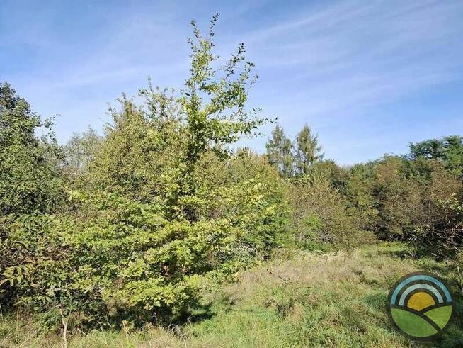 Nielepice gm. Zabierzów - działka budowlana 16 ar k/lasu !