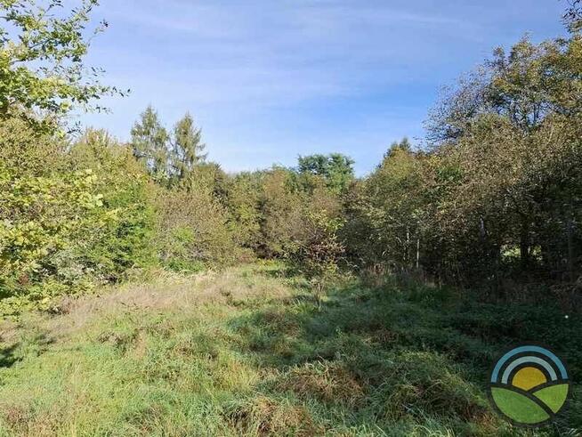 Nielepice gm. Zabierzów - działka budowlana 16 ar k/lasu !