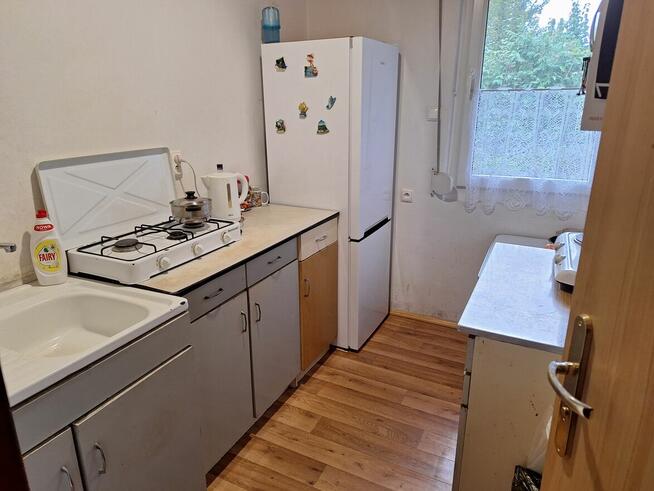 Atrakcyjny dom pod lasem w Sławicy