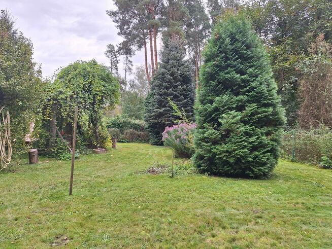 Atrakcyjny dom pod lasem w Sławicy