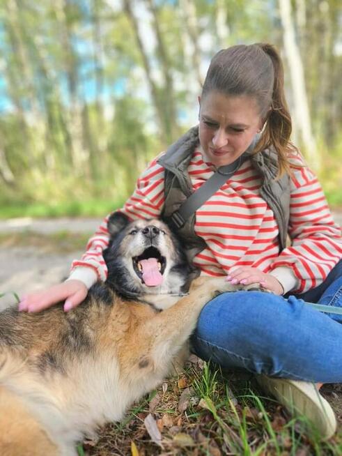 Nie bój się adoptować seniora - Nanuk marzy o rodzinie