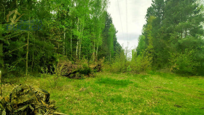 Działka rolna Juliopol gm. Młodzieszyn,